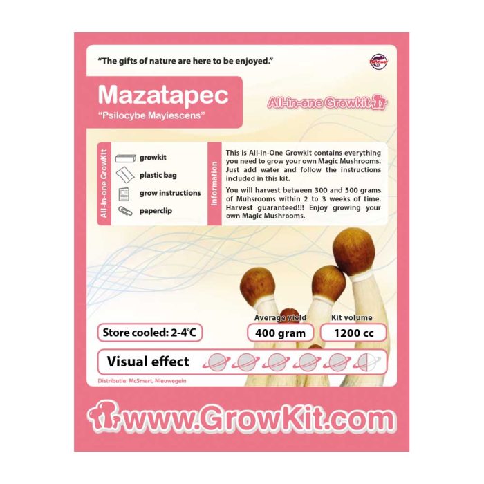 Mazatapec1200cc.jpg