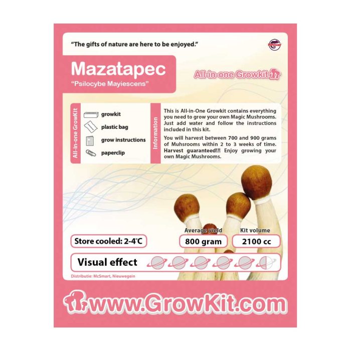 Mazatapec2100cc.jpg