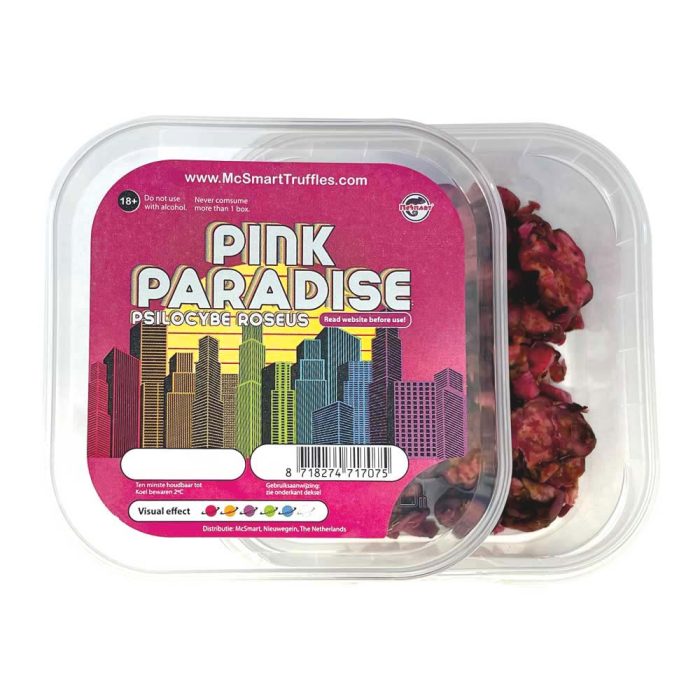 Pink-Paradise-2.jpg
