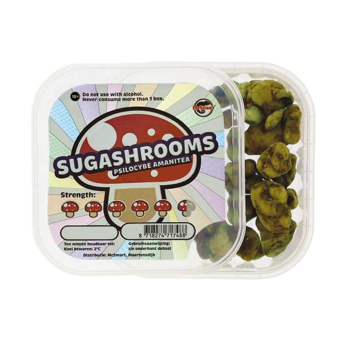 Sugashrooms_02.jpg