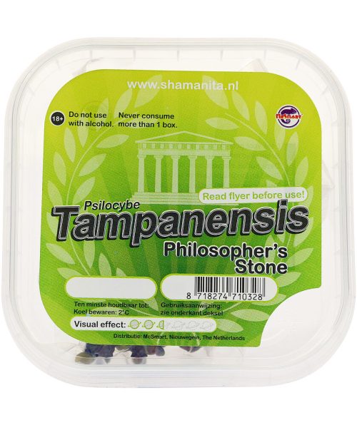 Tampanensis-Main.jpg