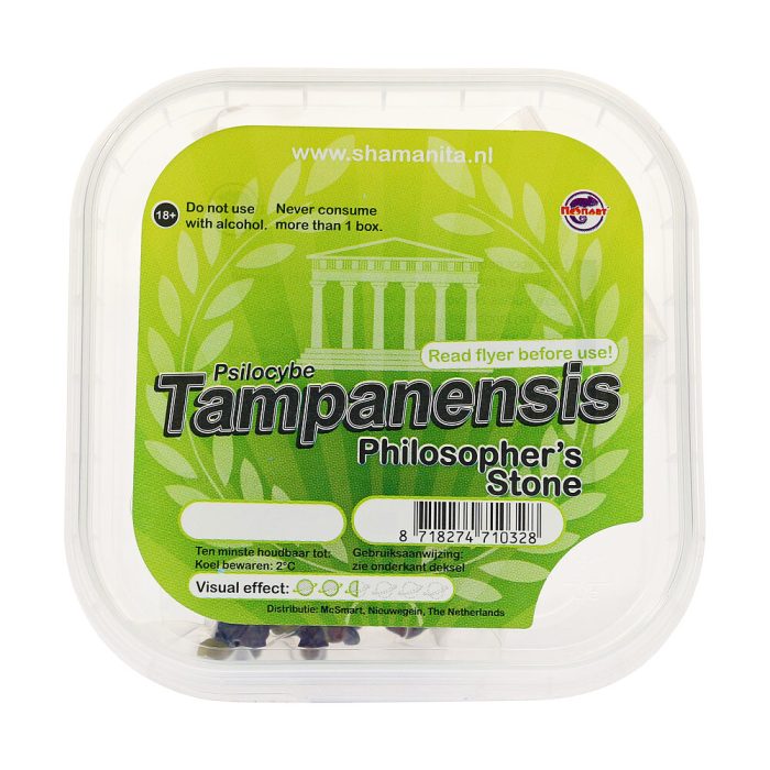 Tampanensis-Main.jpg