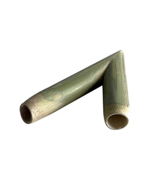 Buis-02.jpg
