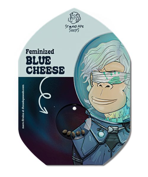 blue-cheese-front.jpg