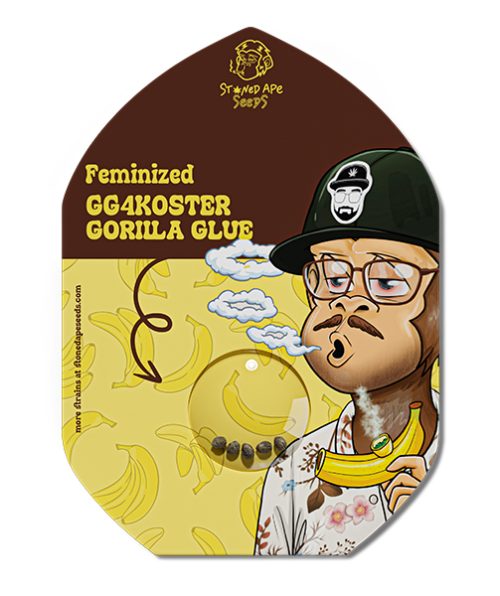 gorilla-glue-front.jpg