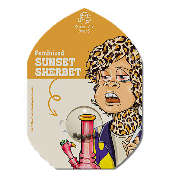 sunset-sherbet-front.jpg