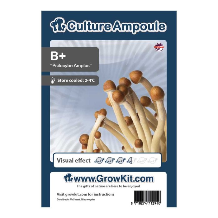 Ampoule-B.jpg