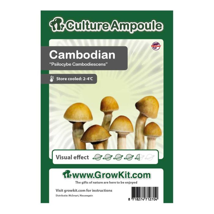 Ampoule-Cambodian.jpg