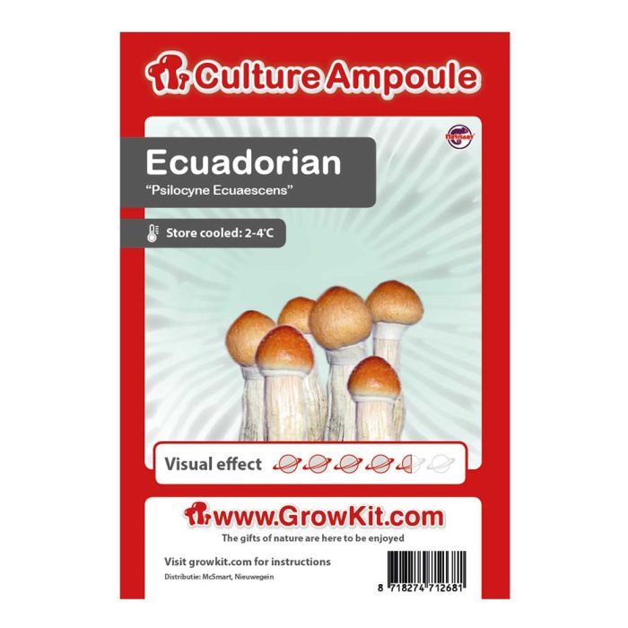 Ampoule-Ecuadorian.jpg