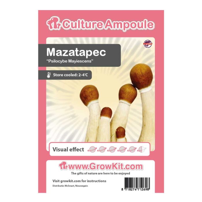 Ampoule-Mazatapec.jpg