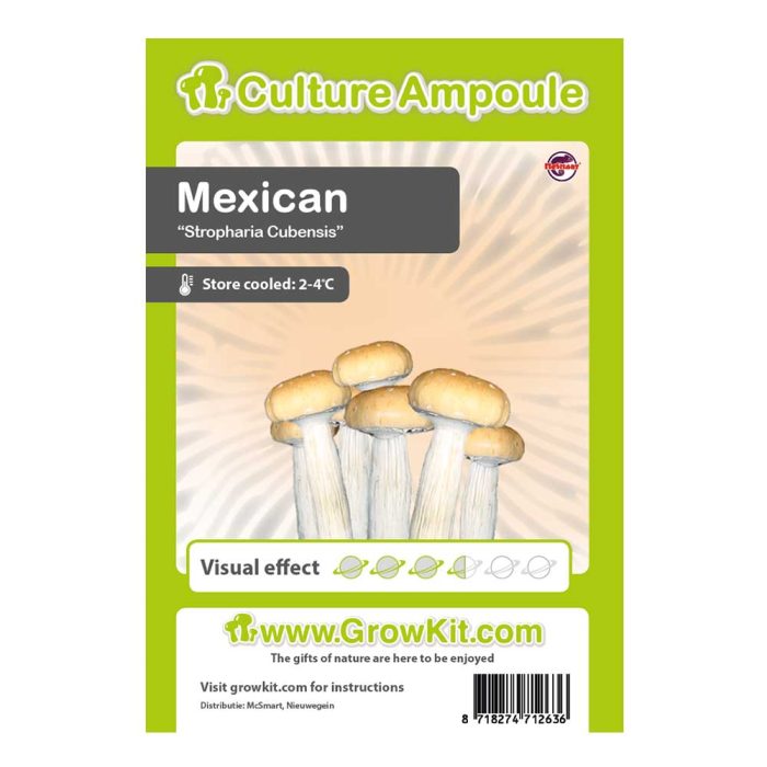 Ampoule-Mexican.jpg