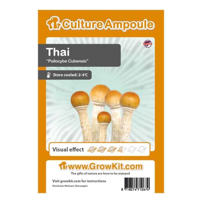 Ampoule-Thai.jpg