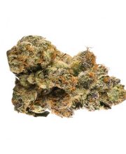 Auto Gelato 33 5 Seeds - Chronic Caviar