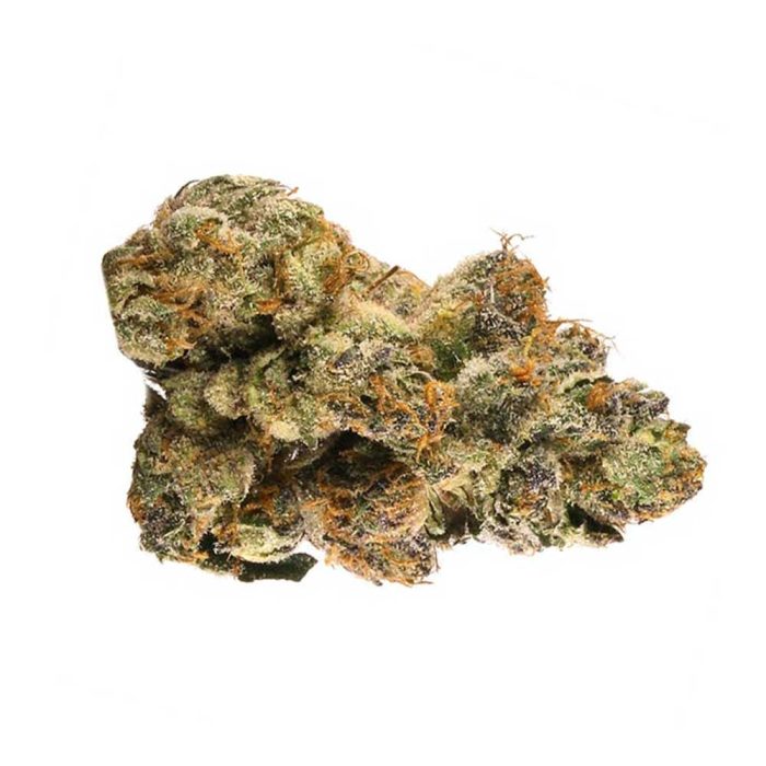Auto-Gelato-1.jpg