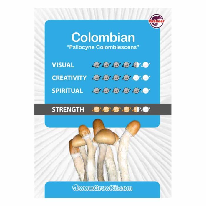 Culture-Ampoule-Colombian-Kaartje.jpeg
