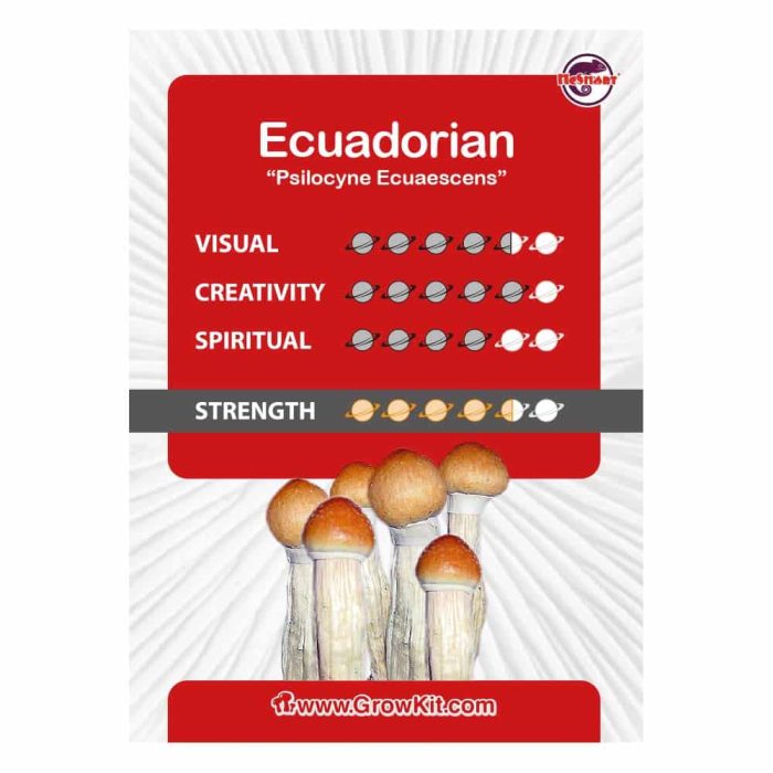 Culture-Ampoule-Ecuadorian-Kaartje.jpeg