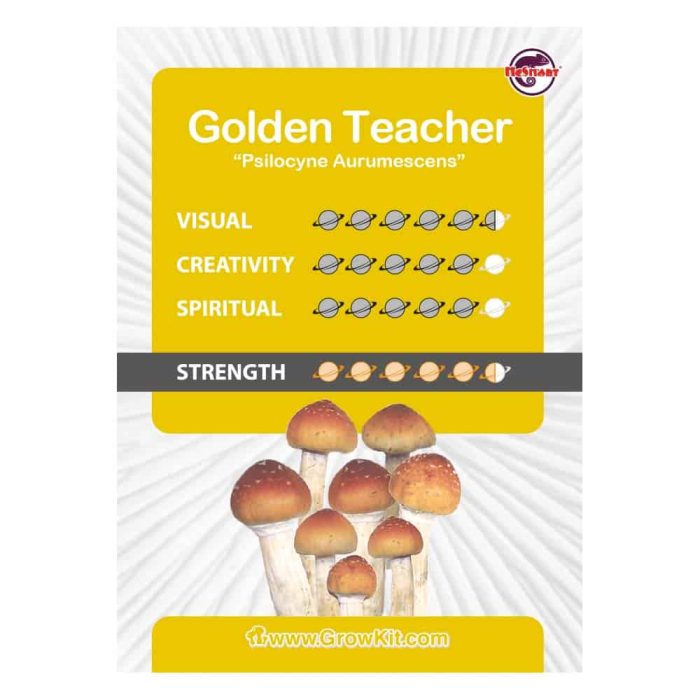 Culture-Ampoule-Golden-Teacher-Kaartje.jpeg