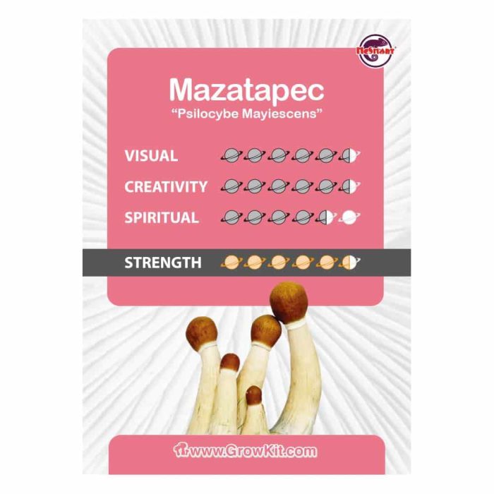 Culture-Ampoule-Mazatapec-Kaartje.jpeg