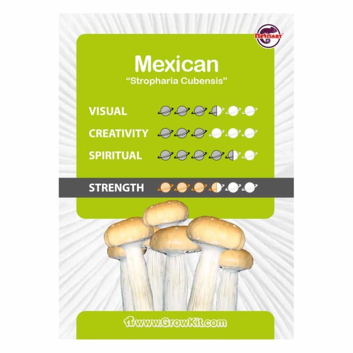 Culture-Ampoule-Mexican-Kaartje.jpeg