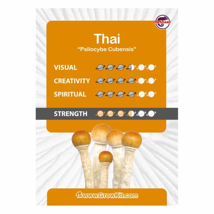 Culture-Ampoule-Thai-kaartje.jpeg