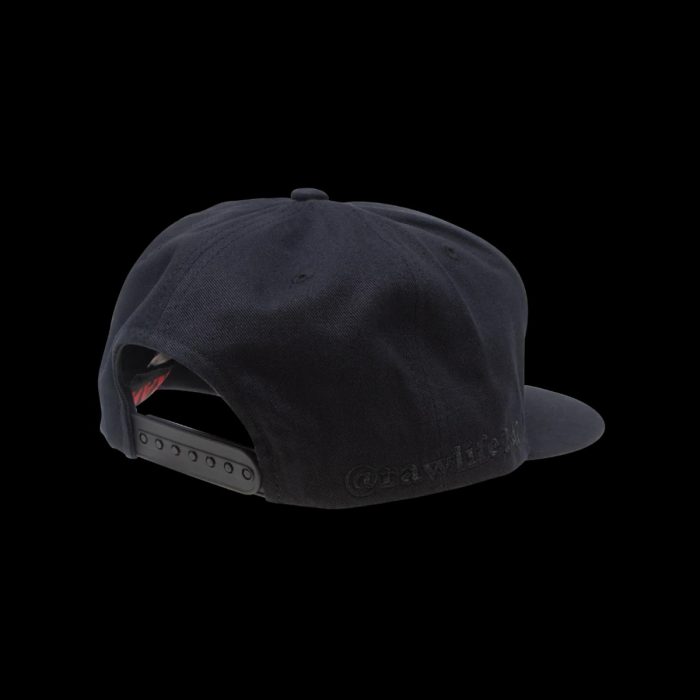 RAW-FLAT-Snapback-Black-5.jpeg