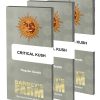 critical-kush-regular-packet-large.jpg