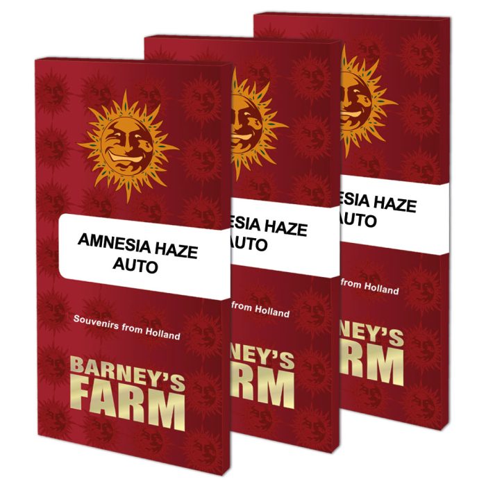 amnesia-haze-auto-packet-large.jpg