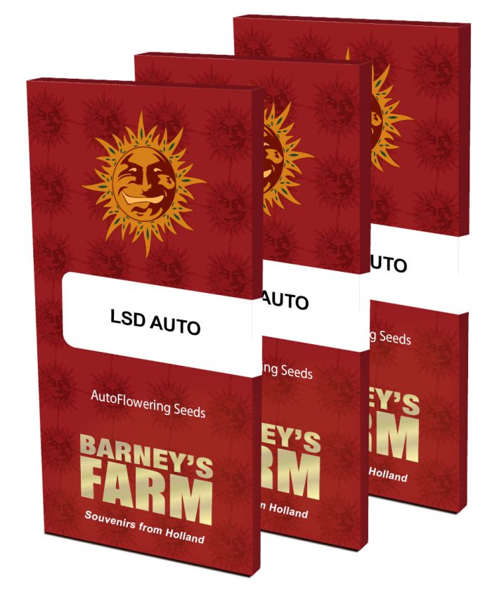 lsd-auto-packet-large.jpg