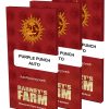 purple-punch-auto-packet-large.jpg