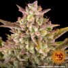 wedding-cake-auto-support-2.jpg