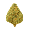 LarryAutoOG.png
