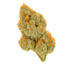 STRAINLABZ Feminized – Zerealz