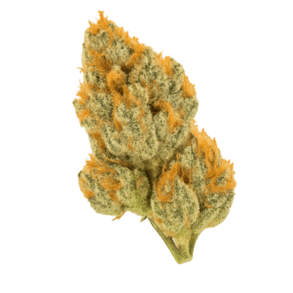 STRAINLABZ Feminized – Zerealz