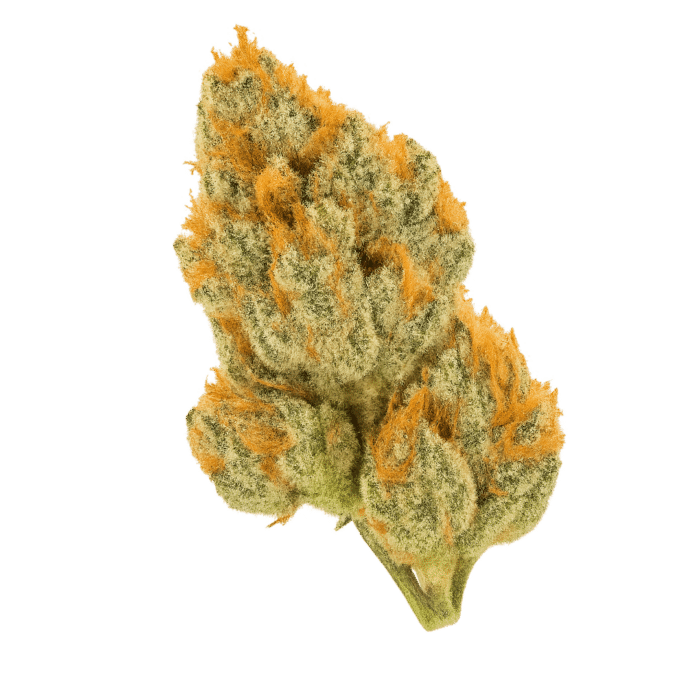 STRAINLABZ Feminized – Zerealz